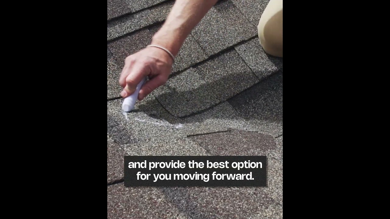 Roofing - No Branding Ad 4 | Roofing Services