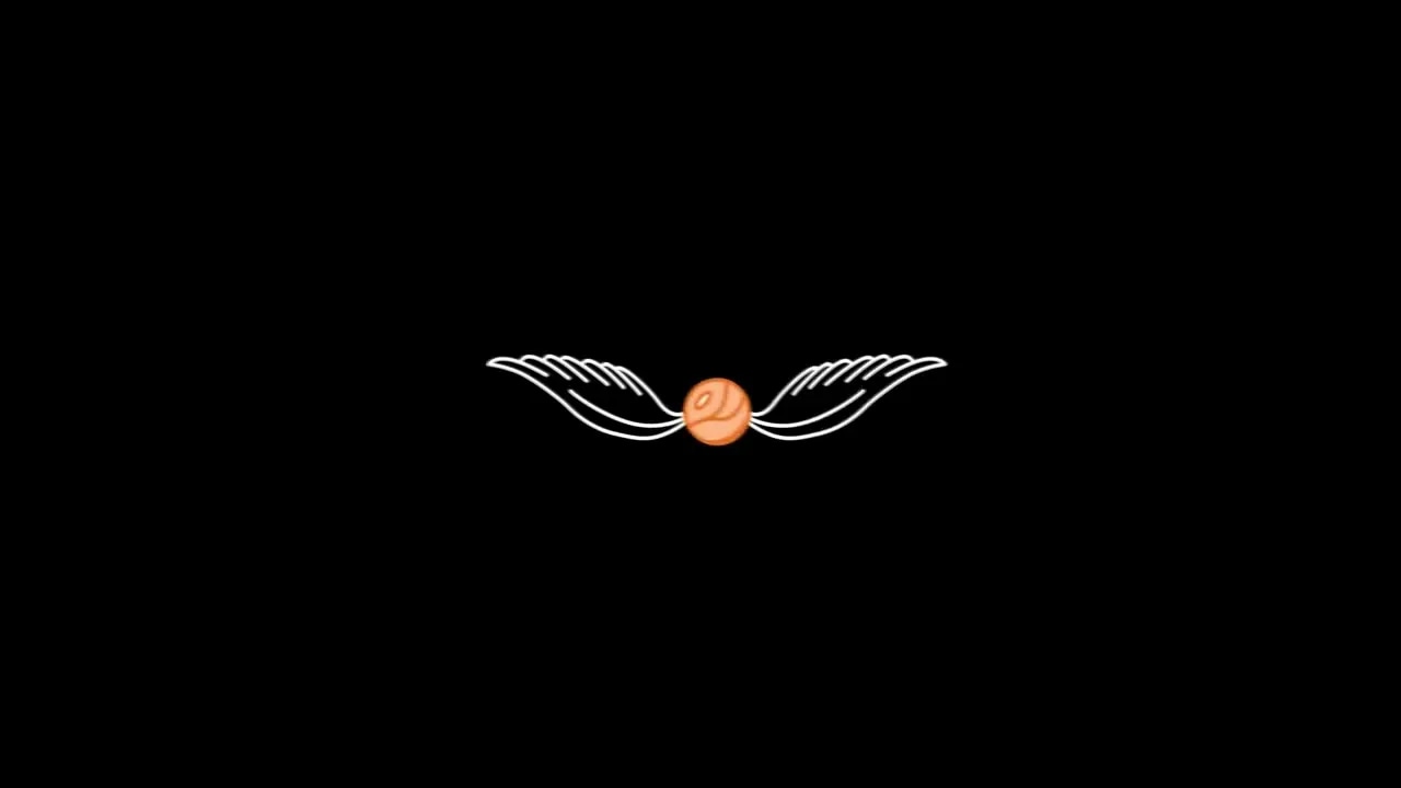 TheSnitch intro Animation - DA Harry Potter God damn snitch!