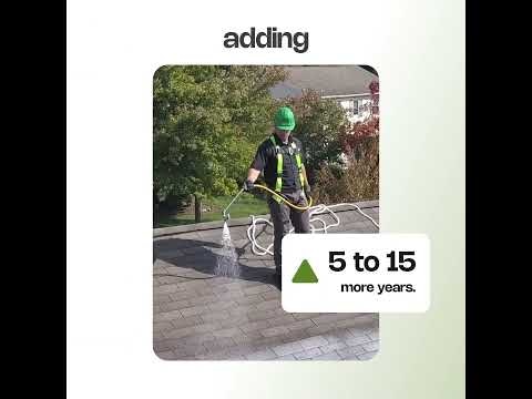 Save Your Roof with Roof Maxx: Affordable Shingle Rejuvenation | x1