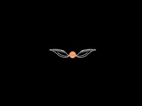TheSnitch intro Animation - DA Harry Potter God damn snitch!